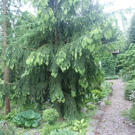 Dorf Stille - Huetten In Den Gaerten Magra -meer * Zakrzewo (Slawno)