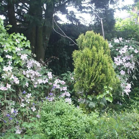 Dorf Stille - Huetten In Den Gaerten Magra -meer Prázdninový dům Zakrzewo (Slawno)