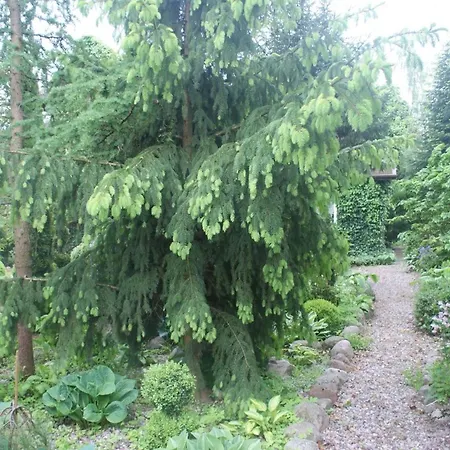 Dorf Stille - Huetten In Den Gaerten Magra -meer *