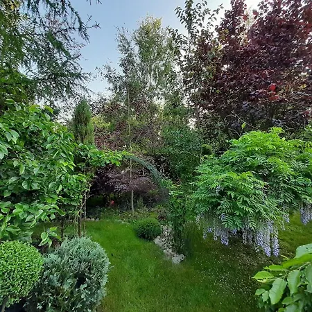 Dorf Stille - Huetten In Den Gaerten Magra -meer 度假居 Zakrzewo (Slawno)